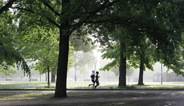 Two people jogging together through a green park surrounded by tall trees and morning sunlight filtering through the leaves.