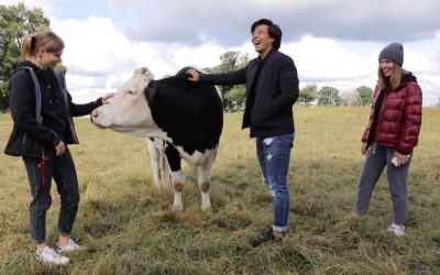 Incredible experience at the organic farm „Elbweiderind“